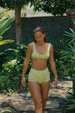 Twin Fin Matcha Bralette Full Set